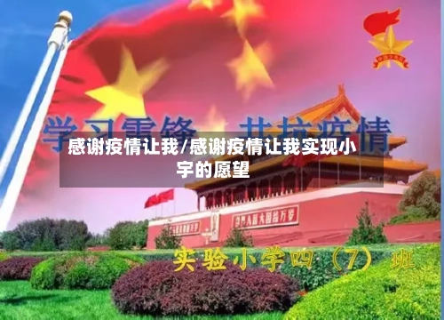 感谢疫情让我/感谢疫情让我实现小宇的愿望