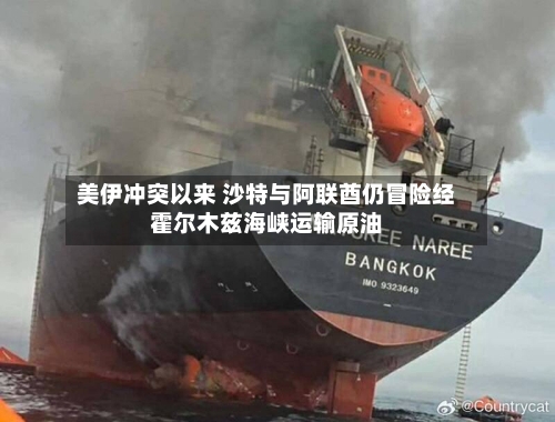 美伊冲突以来 沙特与阿联酋仍冒险经霍尔木兹海峡运输原油