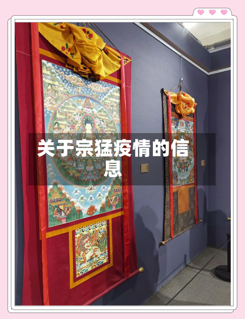 关于宗猛疫情的信息