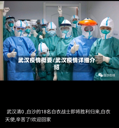 武汉疫情概要/武汉疫情详细介绍